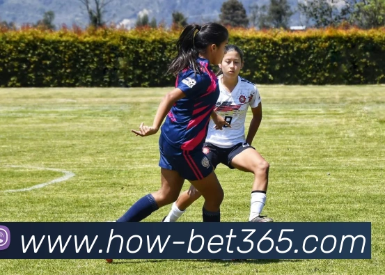 bet365APP 高清赛事图